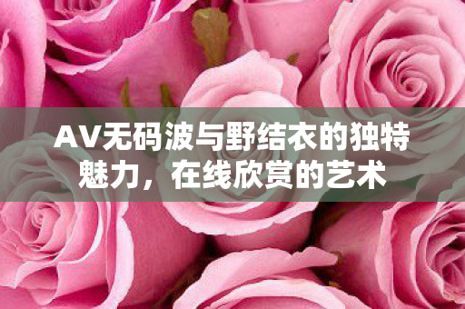 AV无码波与野结衣的独特魅力图片