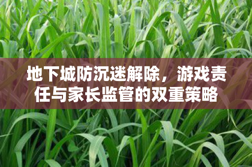 游戏责任与家长监管的双重策略图片