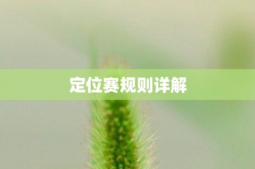 定位赛规则详解图片