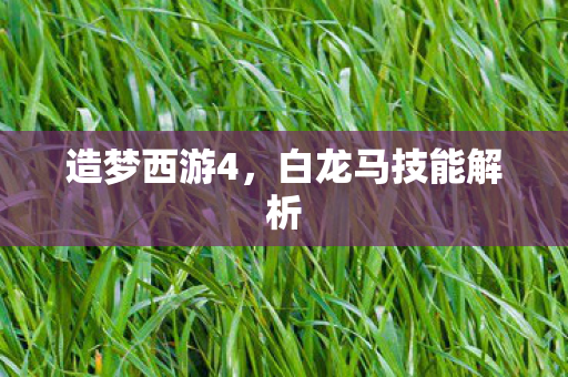 白龙马技能解析图片