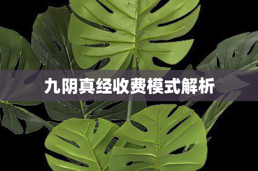 九阴真经收费模式解析图片