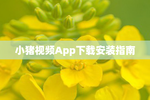 小猪视频App下载安装指南图片