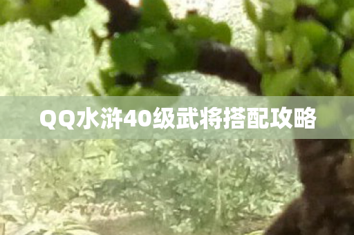 QQ水浒40级武将搭配攻略图片
