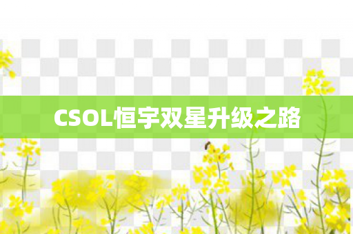 CSOL恒宇双星升级之路图片