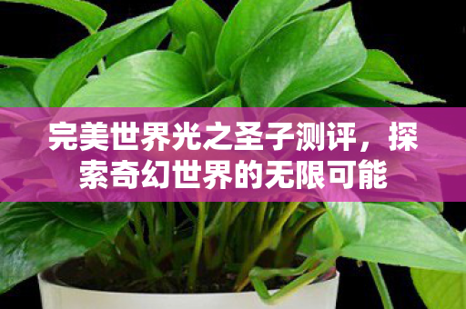 探索奇幻世界的无限可能图片