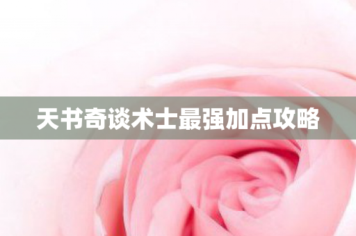天书奇谈术士最强加点攻略图片