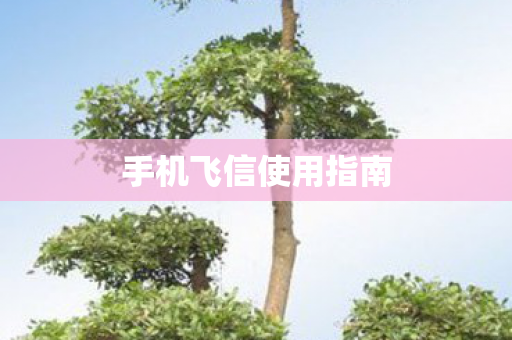 手机飞信使用指南图片