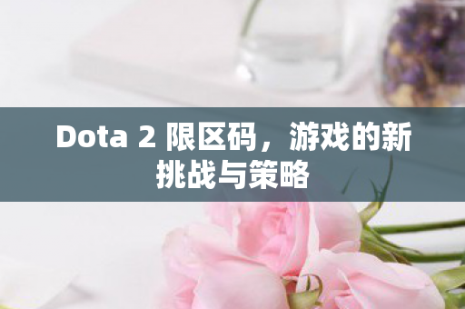 Dota 2 限区码图片