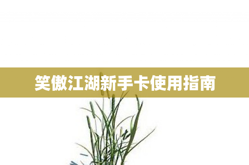 笑傲江湖新手卡使用指南图片