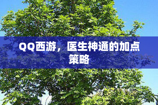 医生神通的加点策略图片