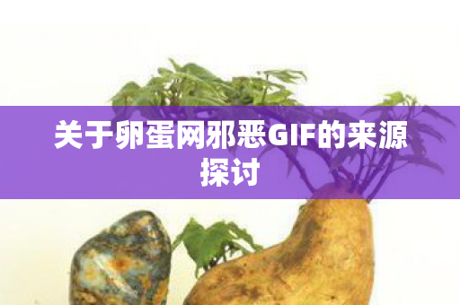 关于卵蛋网邪恶GIF的来源探讨图片