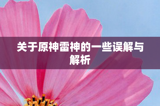 关于原神雷神的一些误解与解析图片