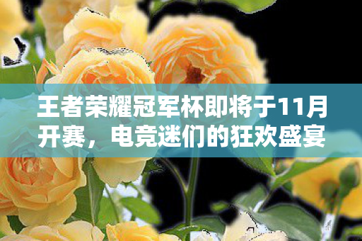 王者荣耀冠军杯即将于11月开赛图片