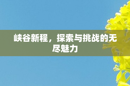 探索与挑战的无尽魅力图片