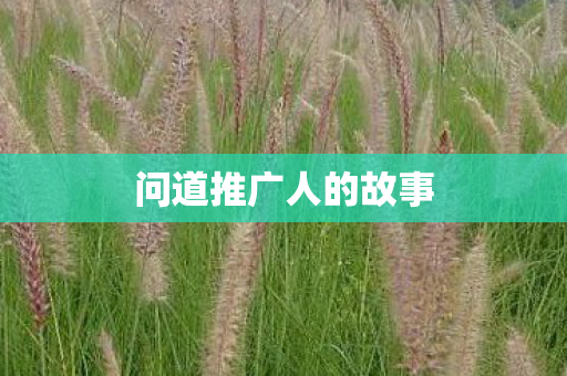 问道推广人的故事图片