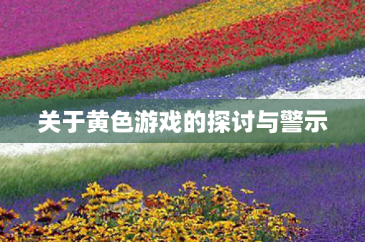 关于黄色游戏的探讨与警示图片