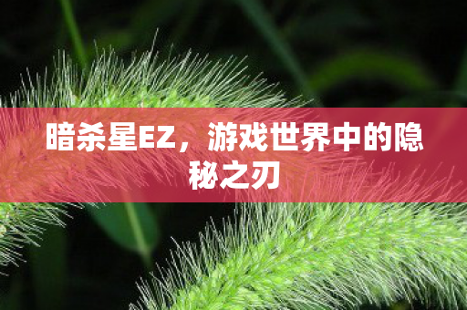 游戏世界中的隐秘之刃图片