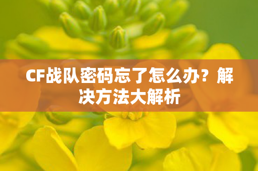CF战队密码忘了怎么办图片