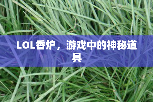 游戏中的神秘道具图片