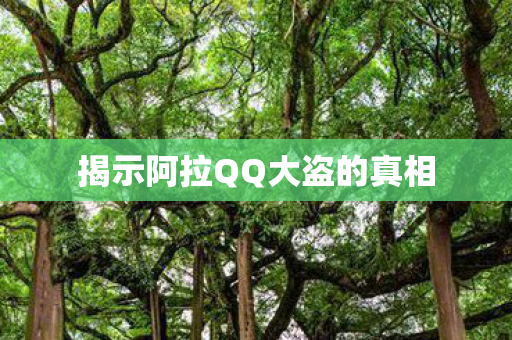揭示阿拉QQ大盗的真相图片