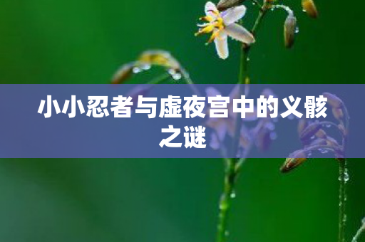 小小忍者与虚夜宫中的义骸之谜图片