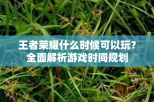 王者荣耀什么时候可以玩图片