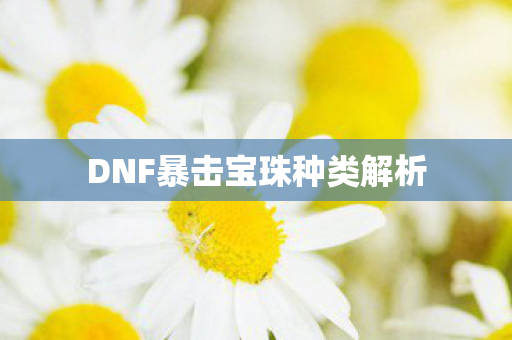 DNF暴击宝珠种类解析图片