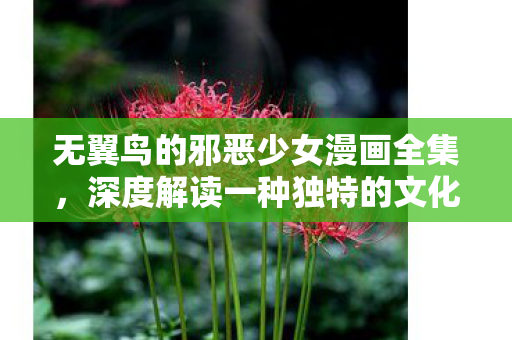 深度解读一种独特的文化现象图片