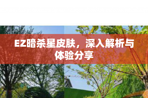 深入解析与体验分享图片