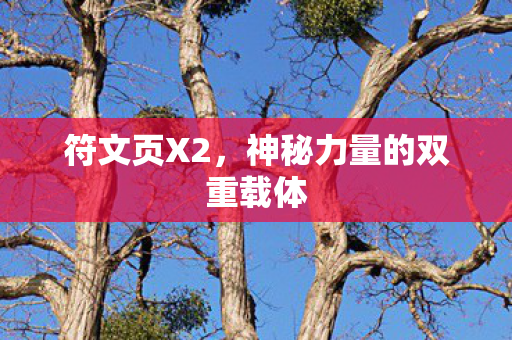神秘力量的双重载体图片
