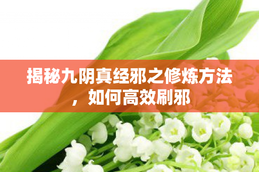 揭秘九阴真经邪之修炼方法图片