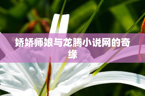 娇娇师娘与龙腾小说网的奇缘图片