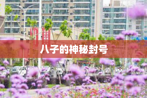 八子的神秘封号图片