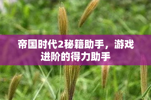 帝国时代2秘籍助手图片