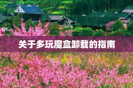 关于多玩魔盒卸载的指南图片