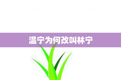 温宁为何改叫林宁图片