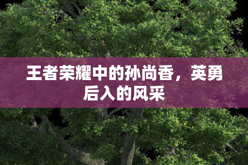 王者荣耀中的孙尚香图片