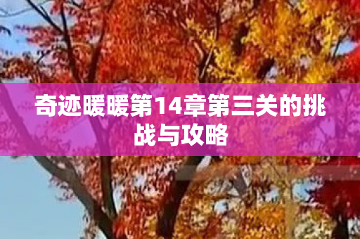 奇迹暖暖第14章第三关的挑战与攻略图片