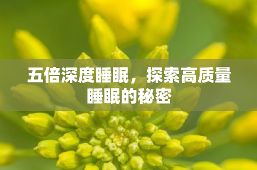 探索高质量睡眠的秘密图片