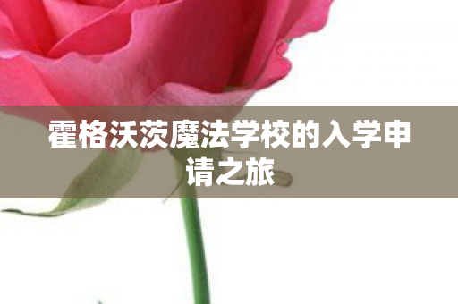 霍格沃茨魔法学校的入学申请之旅图片