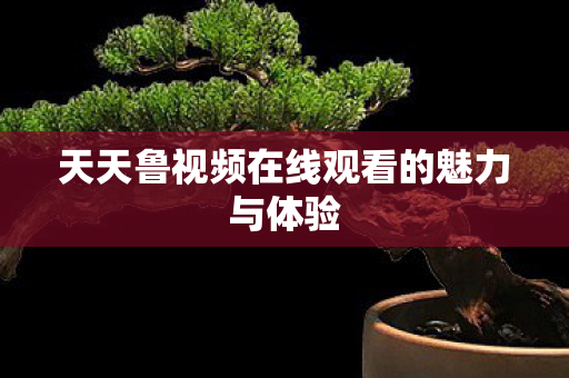 天天鲁视频在线观看的魅力与体验图片