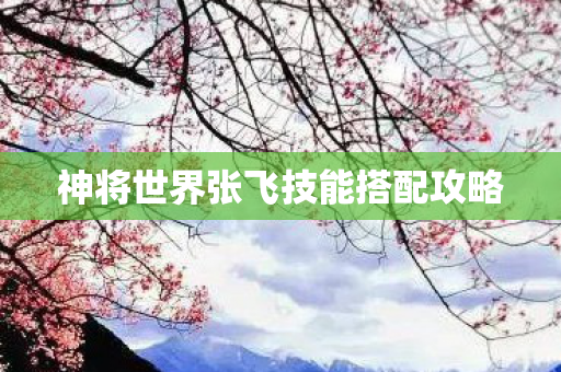 神将世界张飞技能搭配攻略图片