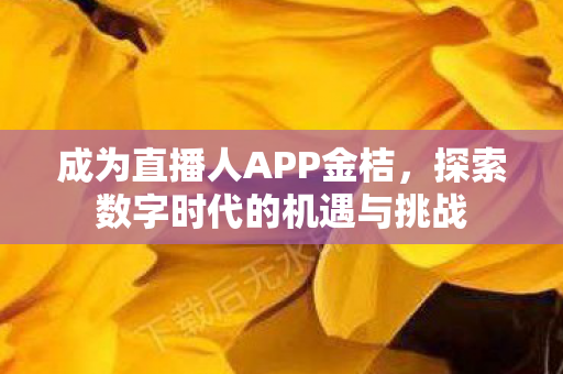 探索数字时代的机遇与挑战图片