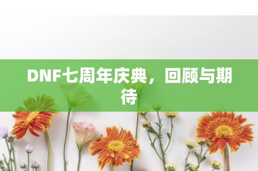 DNF七周年庆典图片