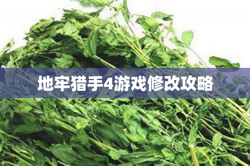 地牢猎手4游戏修改攻略图片