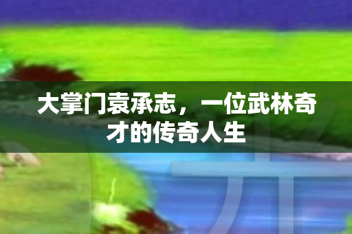 一位武林奇才的传奇人生图片