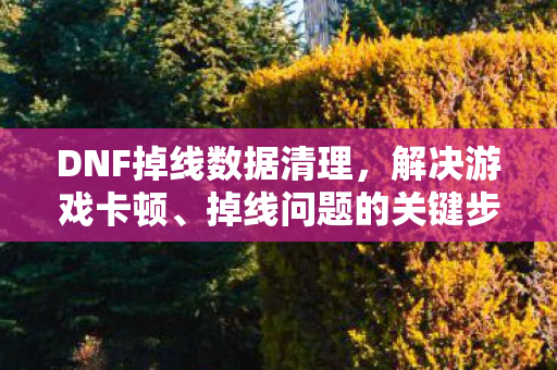 DNF掉线数据清理图片