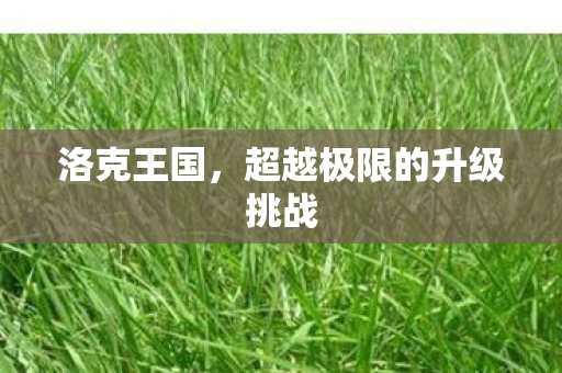 超越极限的升级挑战图片