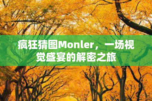 一场视觉盛宴的解密之旅图片