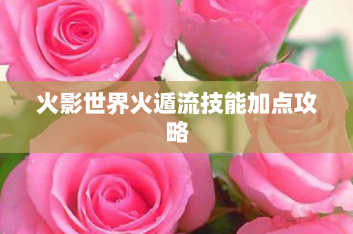 火影世界火遁流技能加点攻略图片